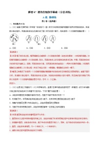 解密07 遗传的细胞学基础（分层训练)-【高频考点解密】2023年高考生物二轮复习讲义+分层训练（解析版）