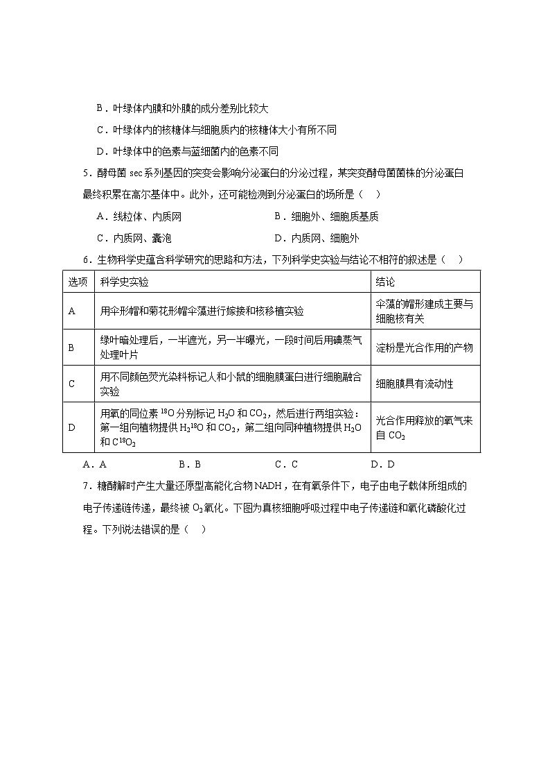 福建省宁德第一中学2023-2024学年高三上学期第一次检测生物试题02