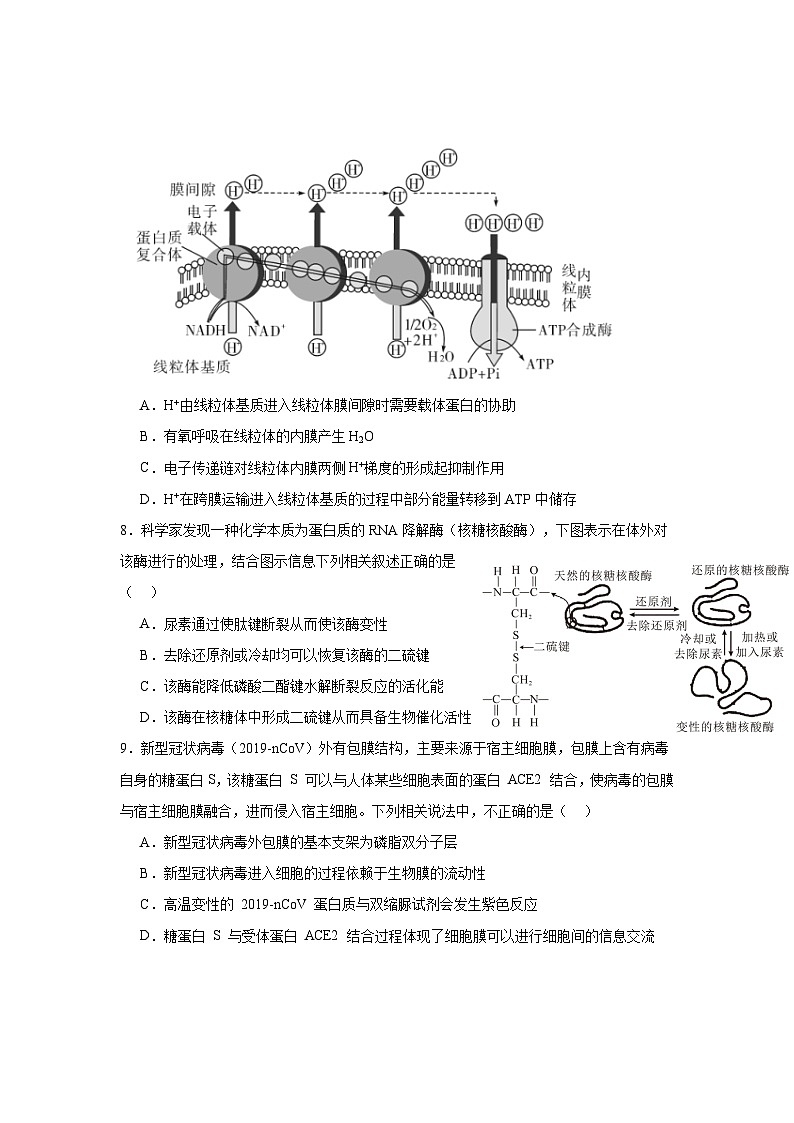 福建省宁德第一中学2023-2024学年高三上学期第一次检测生物试题03