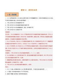 解密09 基因的本质（分层训练）-【高频考点解密】2023年高考生物二轮复习讲义+分层训练（新教材）（解析版）