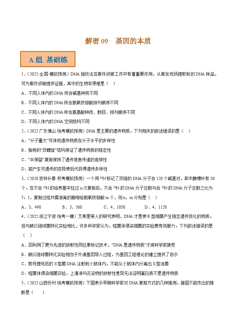 解密09 基因的本质（分层训练）-【高频考点解密】2023年高考生物二轮复习讲义+分层训练（新教材）（原卷版）第1页