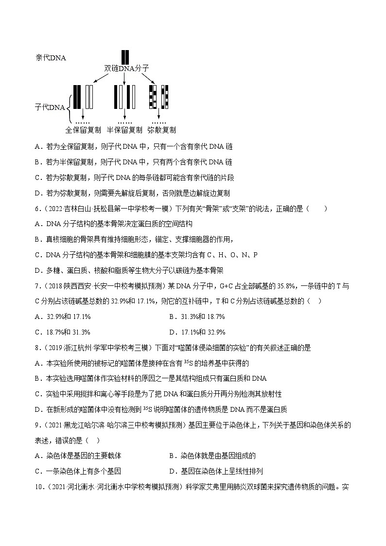 解密09 基因的本质（分层训练）-【高频考点解密】2023年高考生物二轮复习讲义+分层训练（新教材）（原卷版）第2页