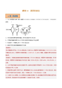 解密10 基因的表达（分层训练）-【高频考点解密】2023年高考生物二轮复习讲义+分层训练（新教材）（解析版）