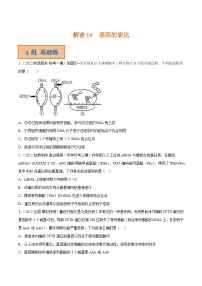 解密10 基因的表达（分层训练）-【高频考点解密】2023年高考生物二轮复习讲义+分层训练（新教材）（原卷版）