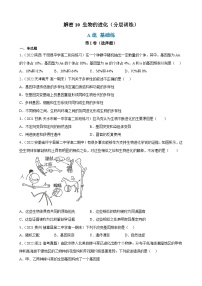 解密10 生物的进化（分层训练)-【高频考点解密】2023年高考生物二轮复习讲义+分层训练（原卷版）