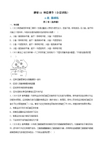 解密11 神经调节（分层训练)-【高频考点解密】2023年高考生物二轮复习讲义+分层训练（原卷版）