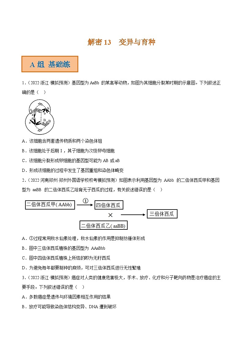解密13 变异与育种（分层训练）-【高频考点解密】2023年高考生物二轮复习讲义+分层训练（新教材）（原卷版）第1页