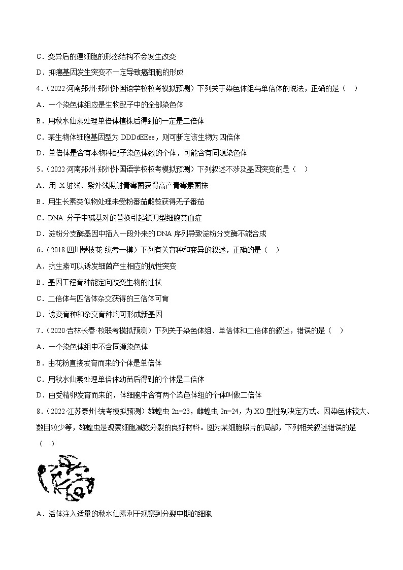 解密13 变异与育种（分层训练）-【高频考点解密】2023年高考生物二轮复习讲义+分层训练（新教材）（原卷版）第2页