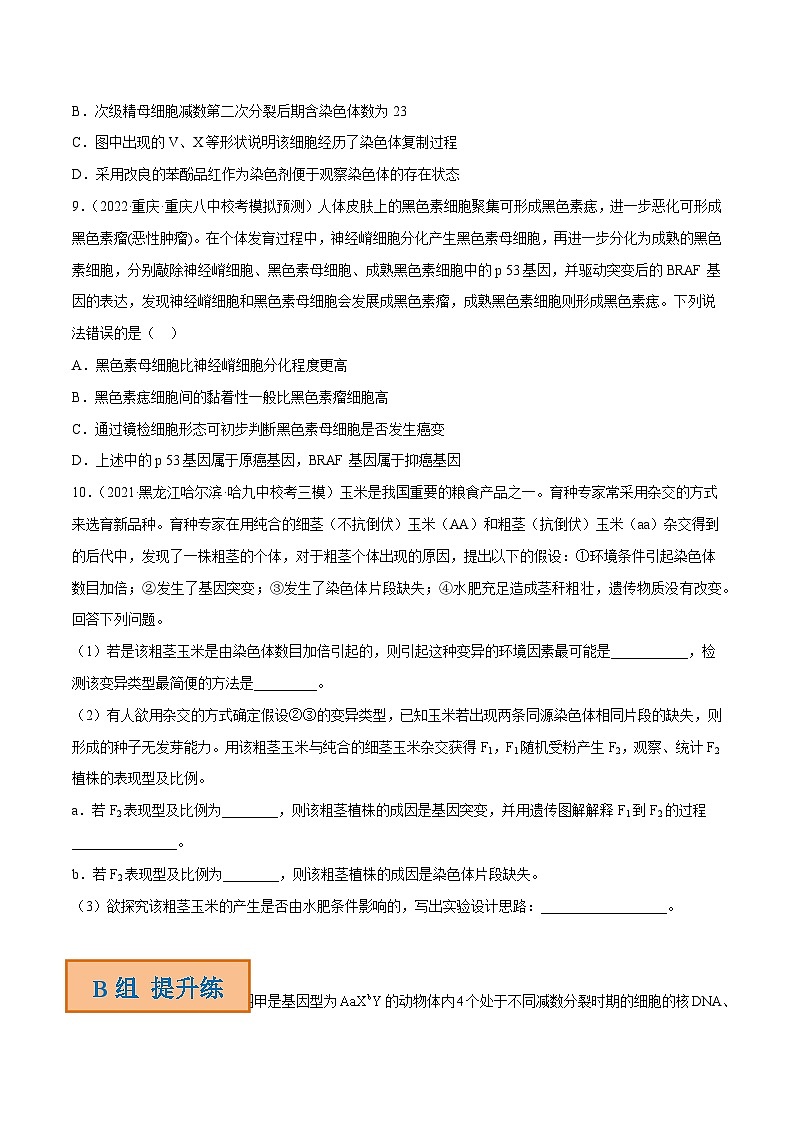 解密13 变异与育种（分层训练）-【高频考点解密】2023年高考生物二轮复习讲义+分层训练（新教材）（原卷版）第3页