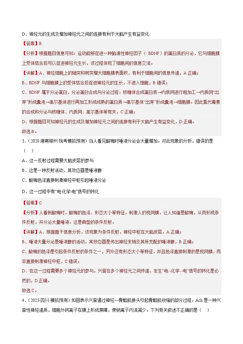解密15 神经调节（分层训练）-【高频考点解密】2023年高考生物二轮复习讲义+分层训练（新教材）（解析版）第2页
