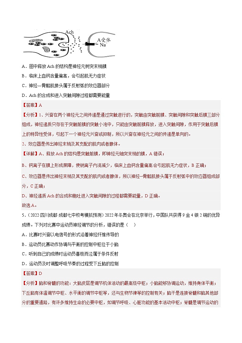 解密15 神经调节（分层训练）-【高频考点解密】2023年高考生物二轮复习讲义+分层训练（新教材）（解析版）第3页