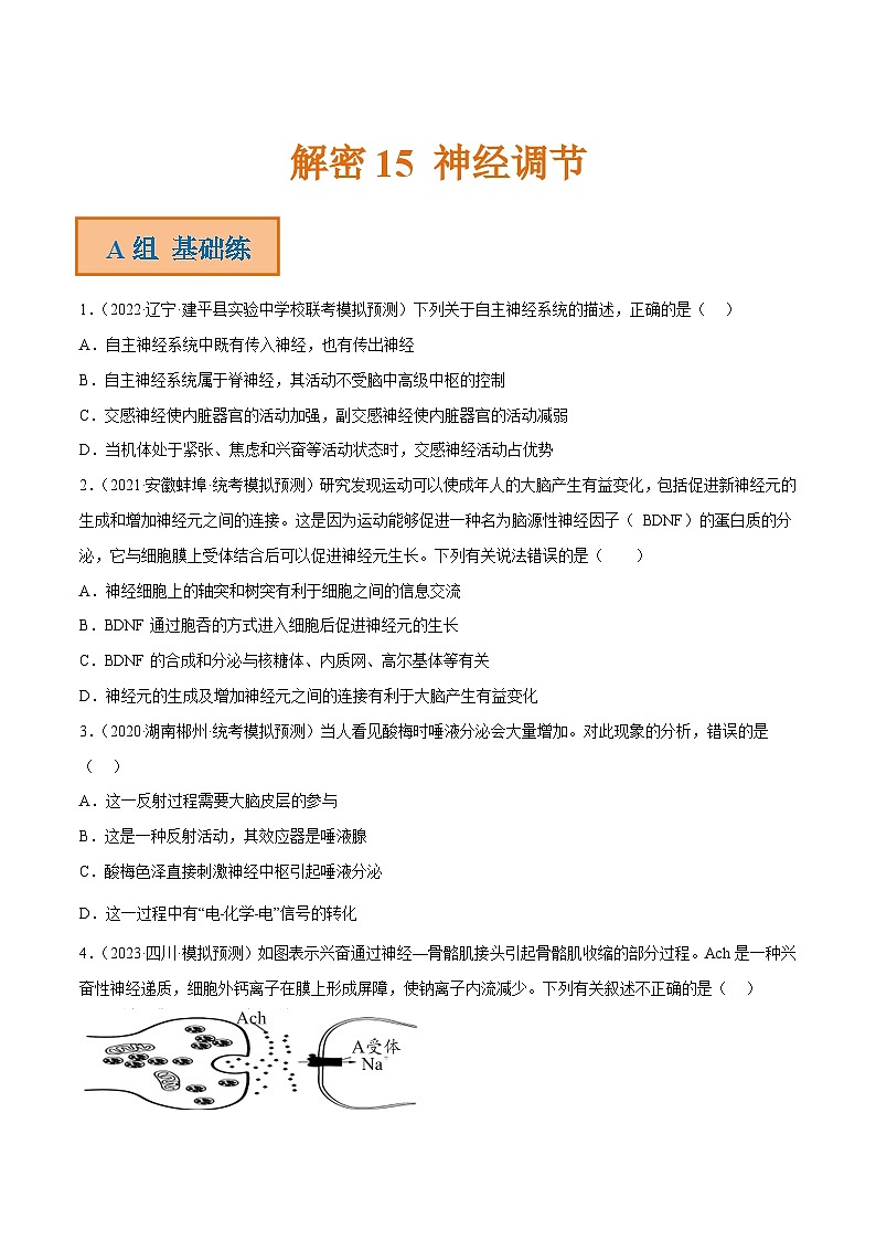 解密15 神经调节（分层训练）-【高频考点解密】2023年高考生物二轮复习讲义+分层训练（新教材）（原卷版）第1页