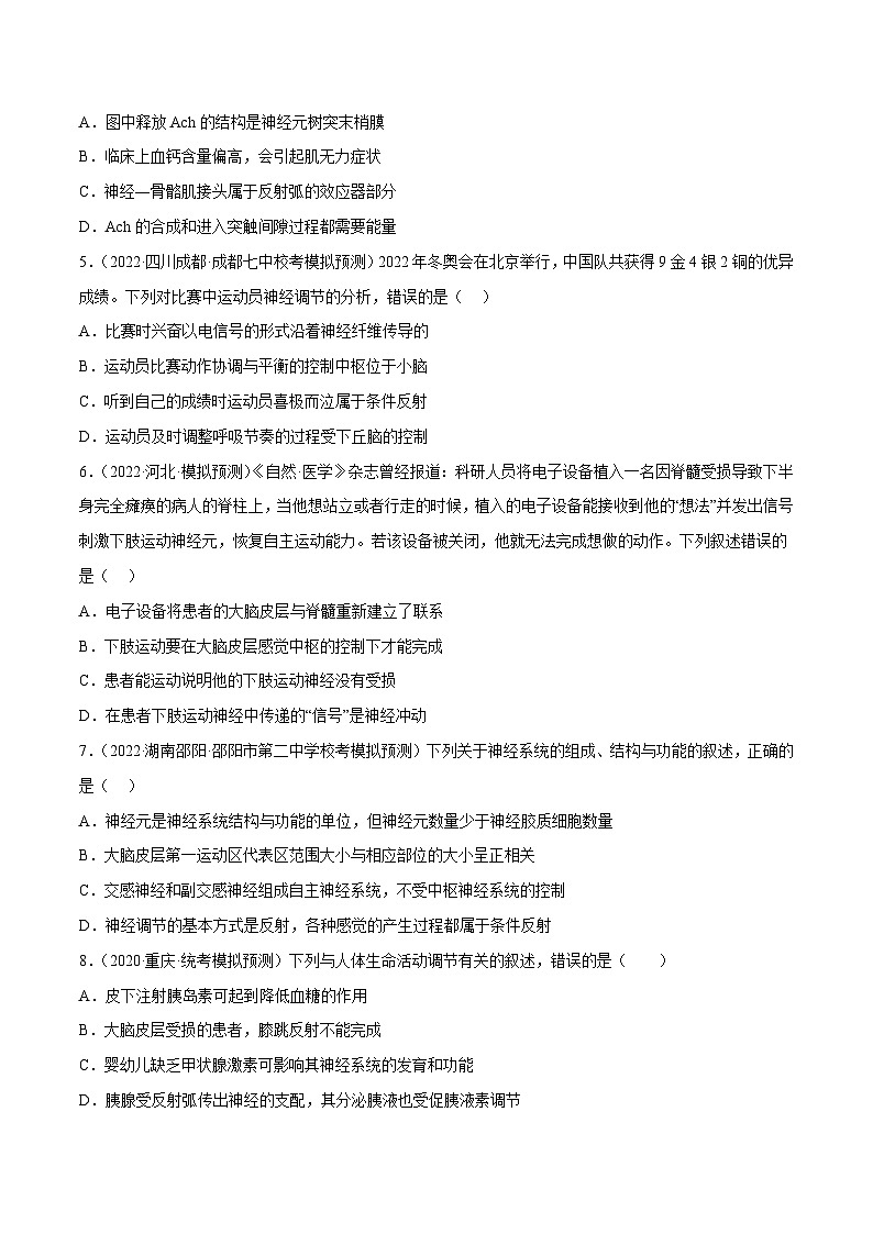 解密15 神经调节（分层训练）-【高频考点解密】2023年高考生物二轮复习讲义+分层训练（新教材）（原卷版）第2页