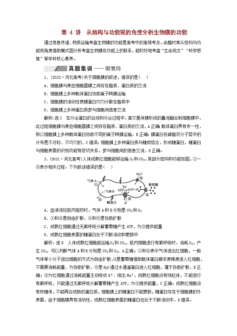 2024届高考生物一轮总复习第二单元细胞的基本结构与物质的输入和输出第4讲从结构与功能观的角度分析生物膜的功能教师用书01