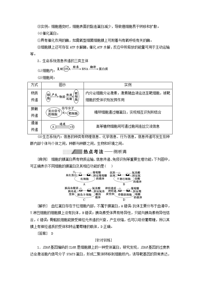 2024届高考生物一轮总复习第二单元细胞的基本结构与物质的输入和输出第4讲从结构与功能观的角度分析生物膜的功能教师用书03