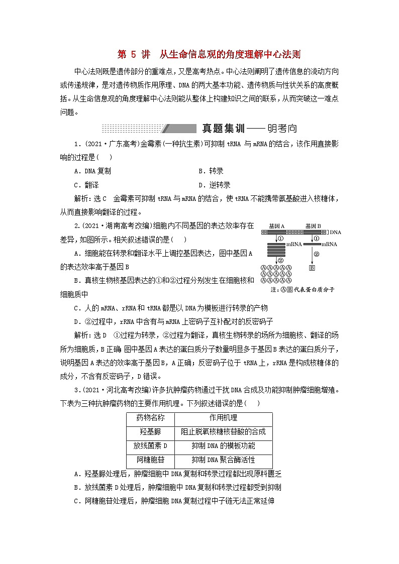 2024届高考生物一轮总复习第六单元基因的本质和表达第5讲从生命信息观的角度理解中心法则教师用书第1页