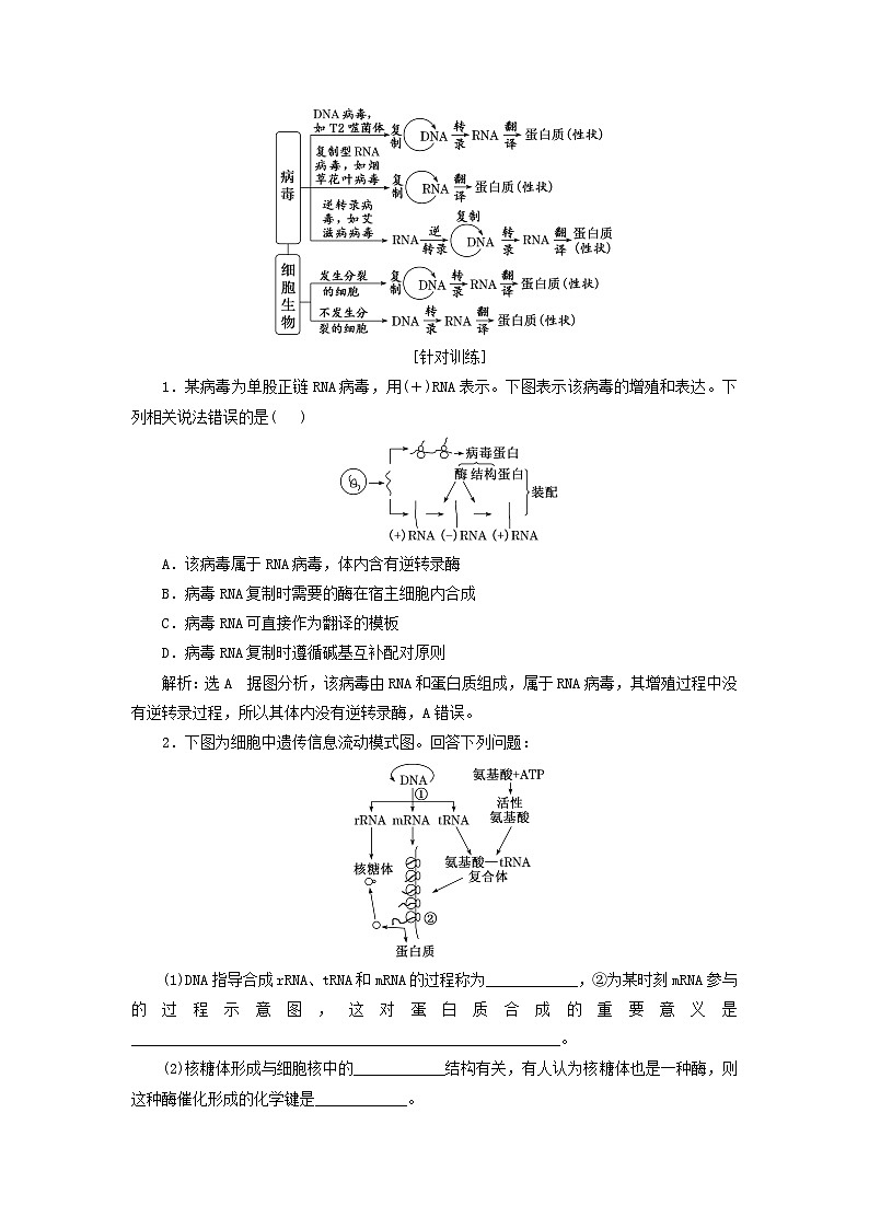 2024届高考生物一轮总复习第六单元基因的本质和表达第5讲从生命信息观的角度理解中心法则教师用书第3页
