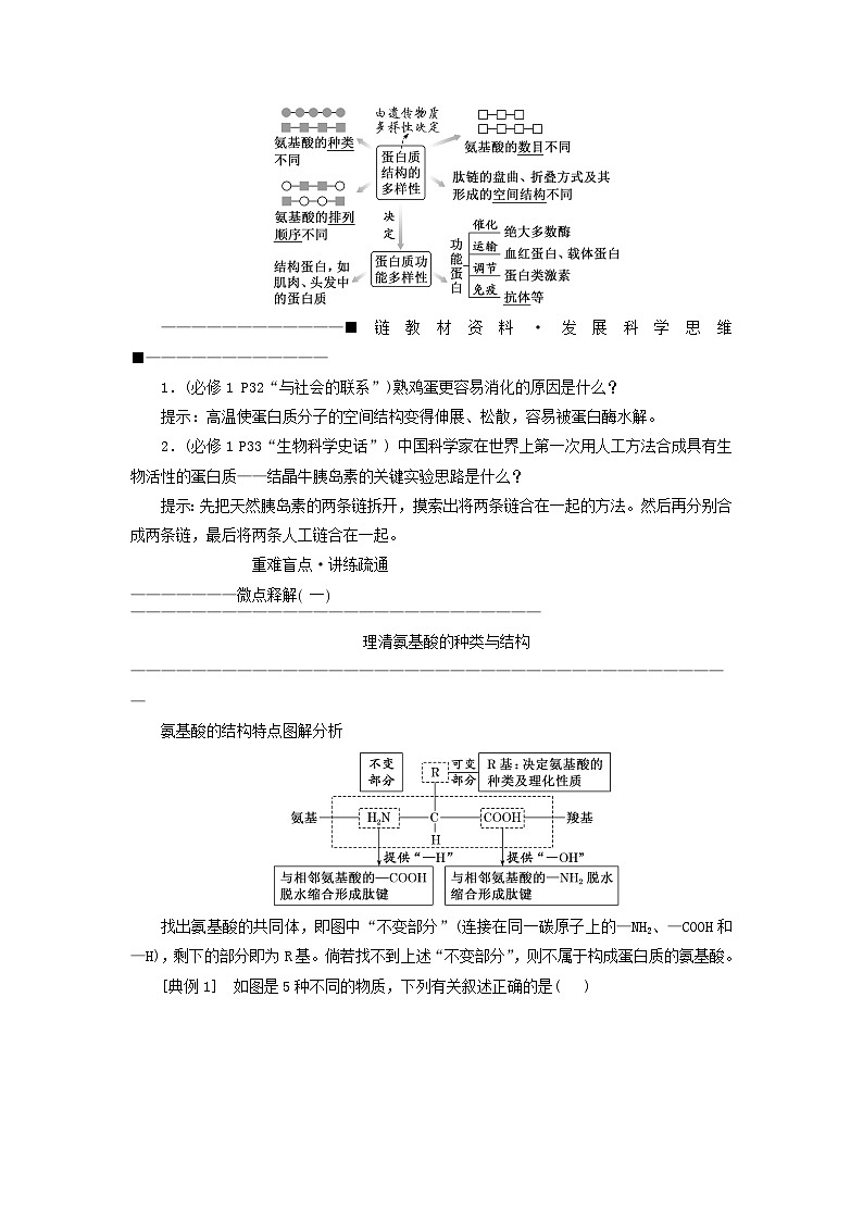2024届高考生物一轮总复习第一单元走近细胞和组成细胞的分子第3讲蛋白质和核酸教师用书03