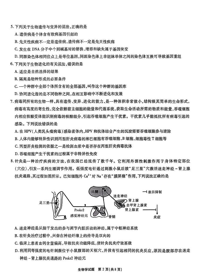 安徽省江淮十校2024届高三第一次联考  生物试题及答案02