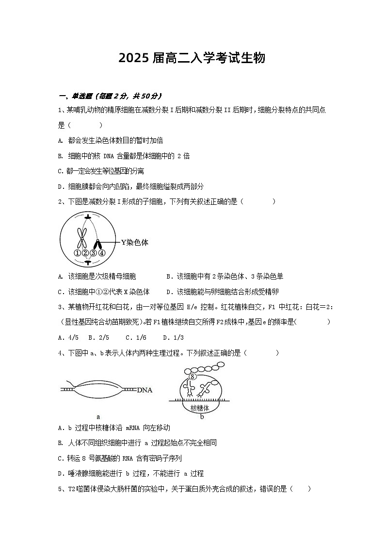 四川省凉山州宁南中学2023-2024学年高二上学期开学考试生物试题01
