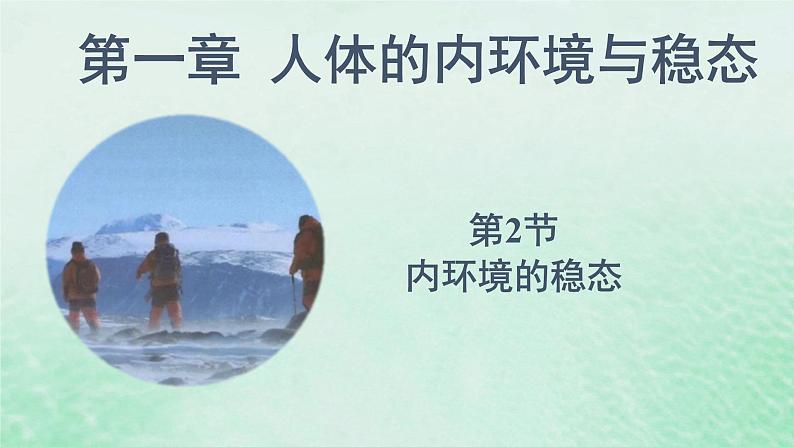 1.2内环境的稳态课件高中生物2023—2024年新人教版选择性必修1第1页