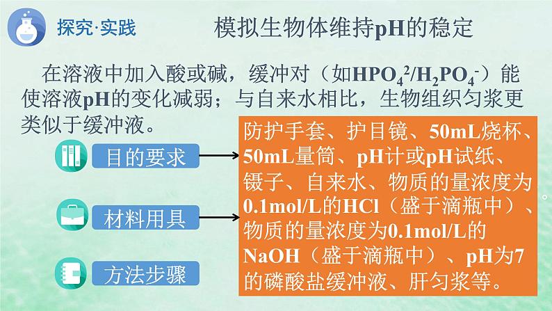 1.2内环境的稳态课件高中生物2023—2024年新人教版选择性必修1第7页
