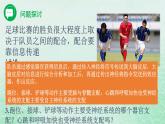 高中生物2023—2024年新人教版选择性必修一2.1神经调节的结构基础（课件+教案）（2份）
