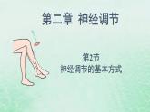 高中生物2023—2024年新人教版选择性必修一2.2神经调节的基本方式（课件+教案）（2份）