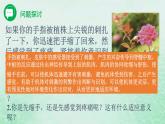 高中生物2023—2024年新人教版选择性必修一2.2神经调节的基本方式（课件+教案）（2份）