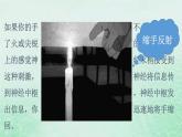 高中生物2023—2024年新人教版选择性必修一2.2神经调节的基本方式（课件+教案）（2份）