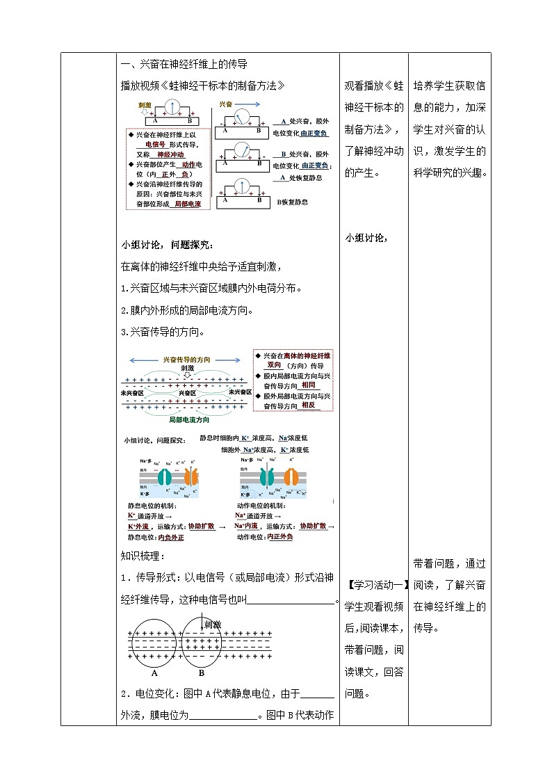 高中生物2023—2024年新人教版选择性必修一2.3神经冲动的产生和传导（课件+教案）（2份）02