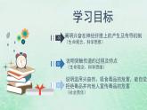 高中生物2023—2024年新人教版选择性必修一2.3神经冲动的产生和传导（课件+教案）（2份）