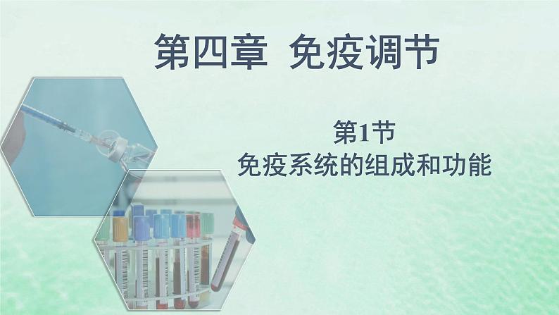 高中生物2023—2024年新人教版选择性必修一4.1免疫系统的组成和功能（课件+教案）（2份）01