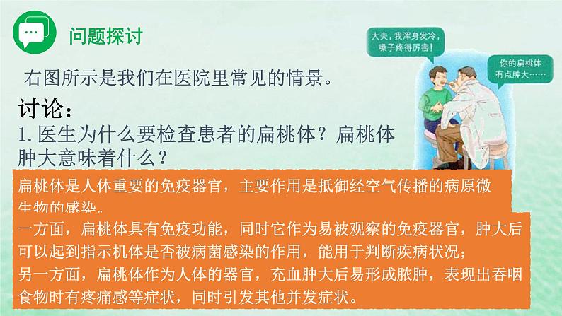 高中生物2023—2024年新人教版选择性必修一4.1免疫系统的组成和功能（课件+教案）（2份）03