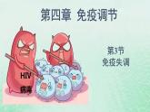高中生物2023—2024年新人教版选择性必修一4.3免疫失调（课件+教案）（2份）