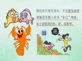 高中生物2023—2024年新人教版选择性必修一4.3免疫失调（课件+教案）（2份）