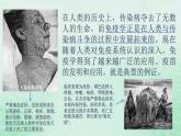 高中生物2023—2024年新人教版选择性必修一4.4免疫学的应用（课件+教案）（2份）