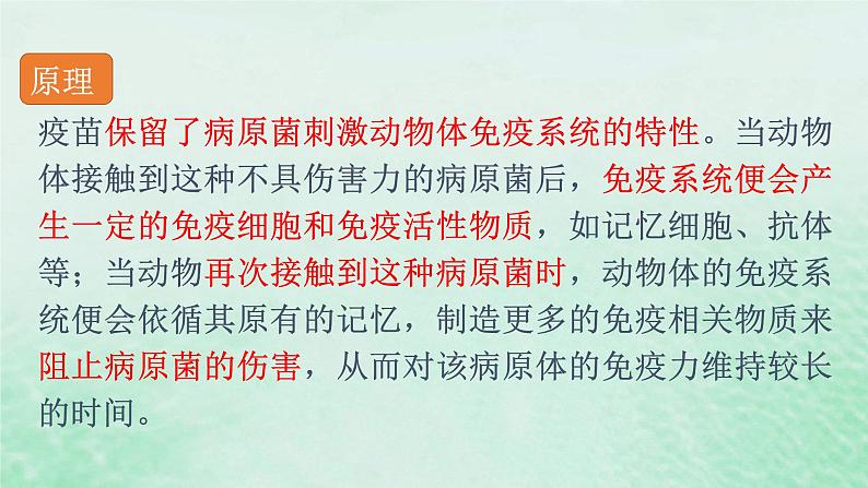 4.4免疫学的应用课件高中生物2023—2024年新人教版选择性必修1第7页