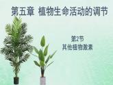 高中生物2023—2024年新人教版选择性必修一5.2其他植物激素（课件+教案）（2份）