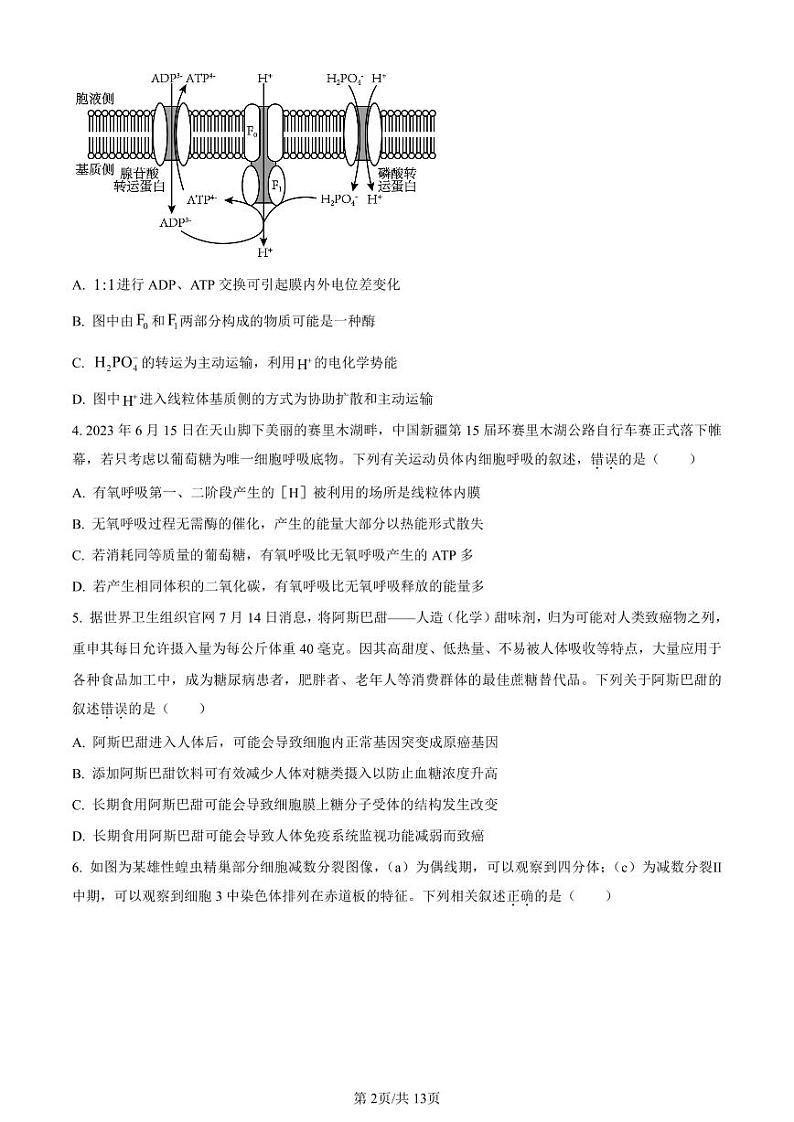 山西省金科大联考2023-2024学年高三上学期开学检测生物第2页