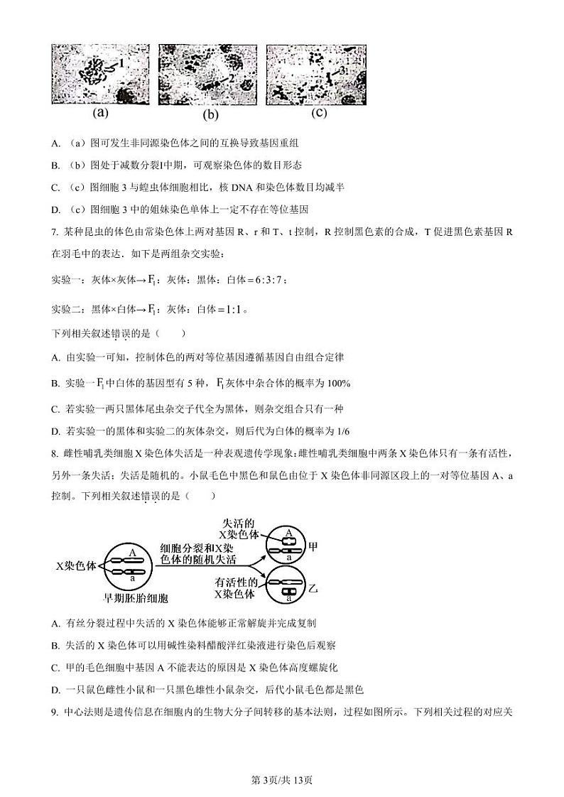 山西省金科大联考2023-2024学年高三上学期开学检测生物第3页