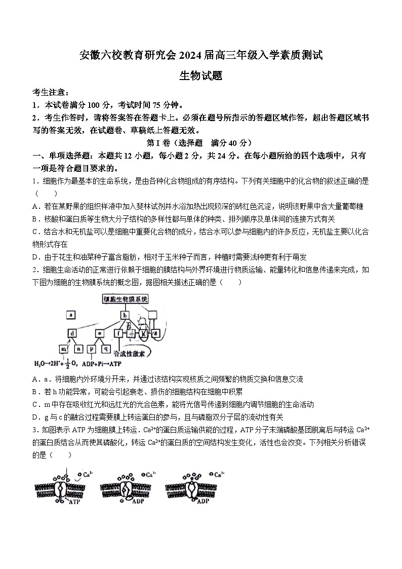 安徽省六校教育研究会2023-2024学年高三下学期入学素质检测生物试题01