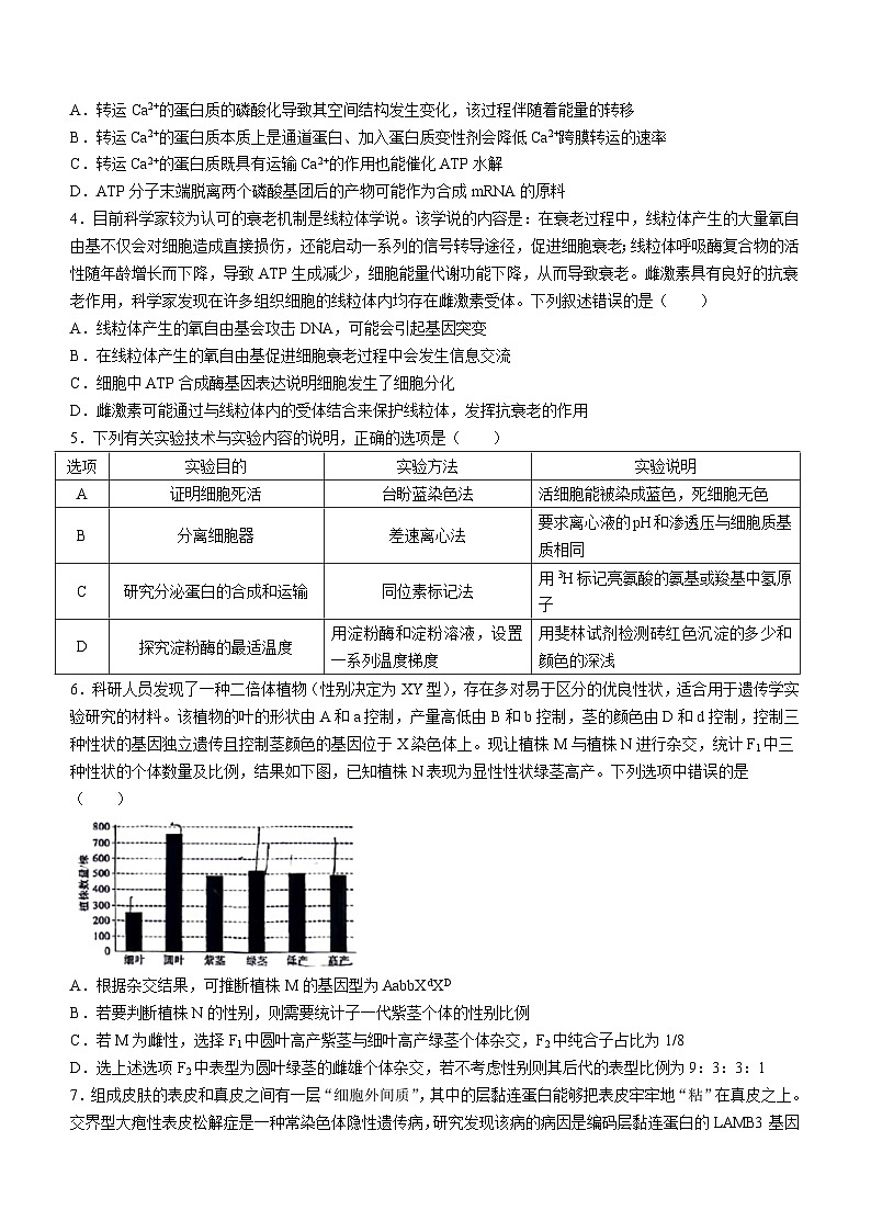 安徽省六校教育研究会2023-2024学年高三下学期入学素质检测生物试题02