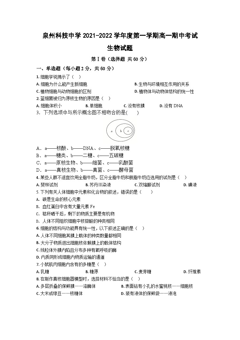 福建省泉州科技中学2021-2022学年高一上学期期中考试生物试题【试卷+答案】01