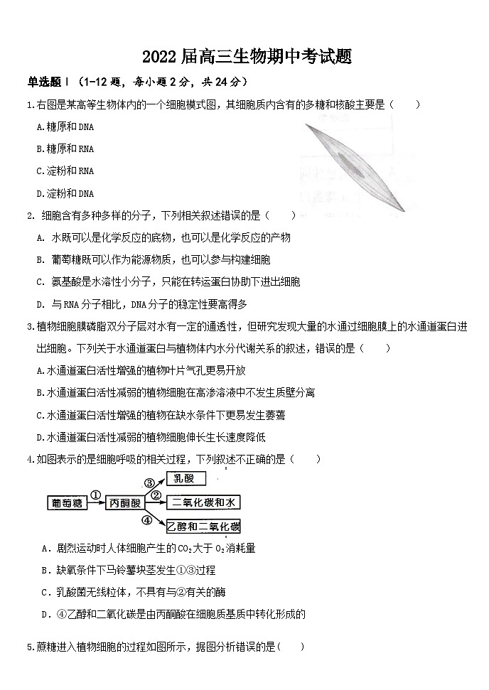 广东省东莞市第四高级中学2021-2022学年高三上学期期中考试生物【试卷+答案】01