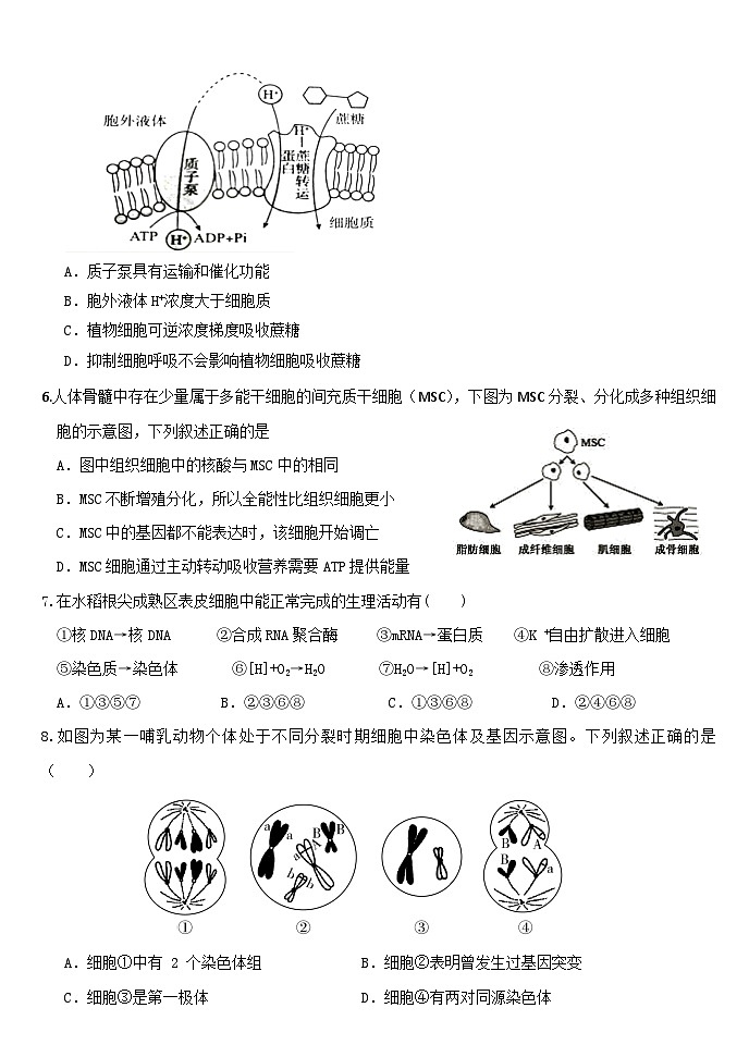 广东省东莞市第四高级中学2021-2022学年高三上学期期中考试生物【试卷+答案】02