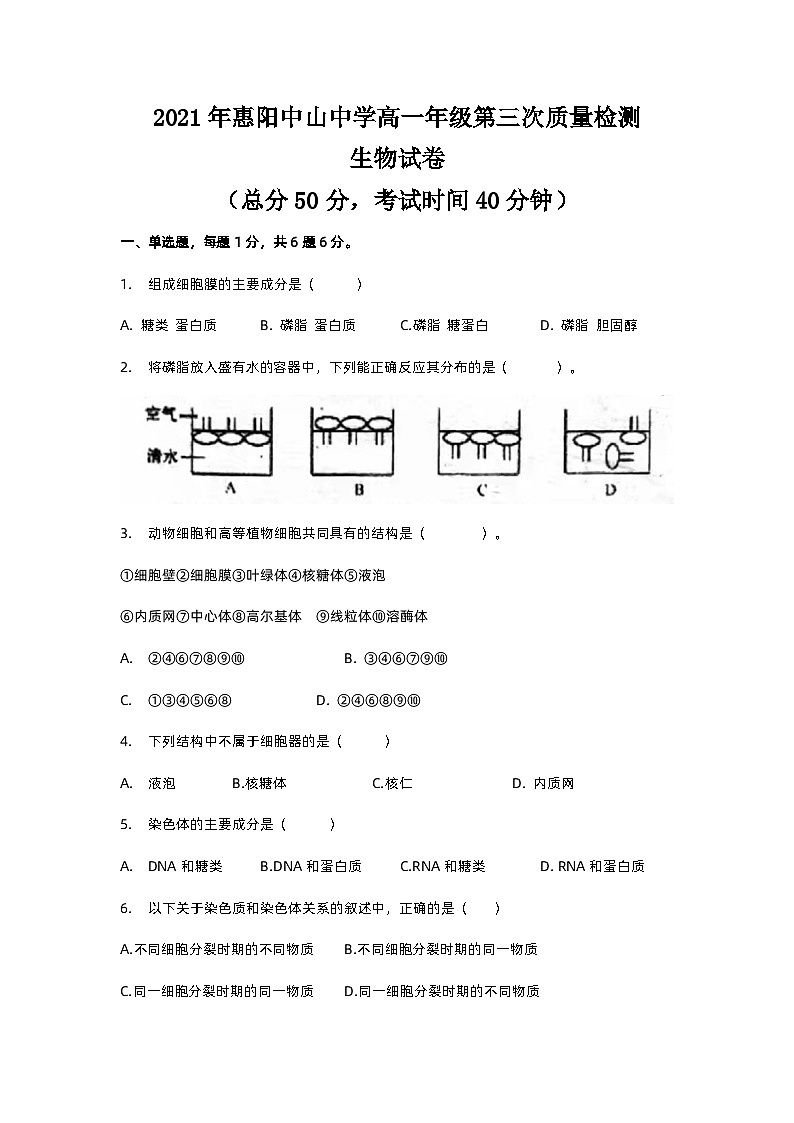 广东省惠州市惠阳区中山中学2021-2022学年高一上学期第三次月考质量检测生物试卷 【试卷+答案】01