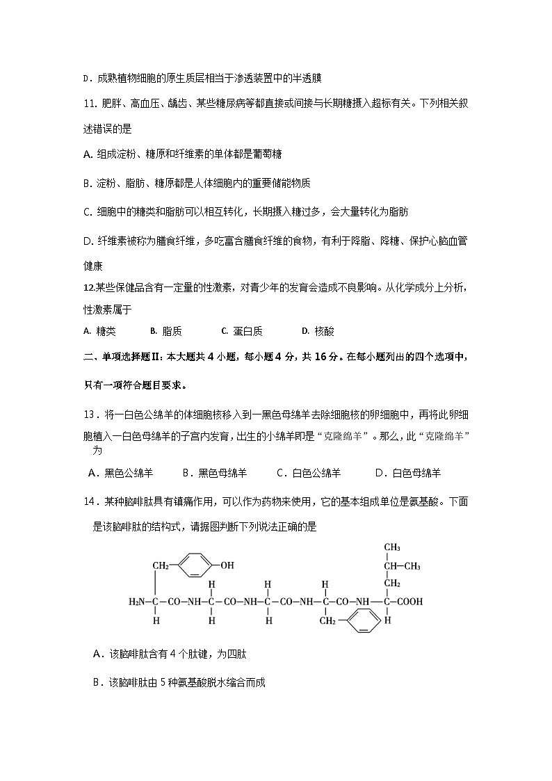 广东省茂名市电白区2021——2022学年高一上学期期中考试 生物【试卷+答案】第3页