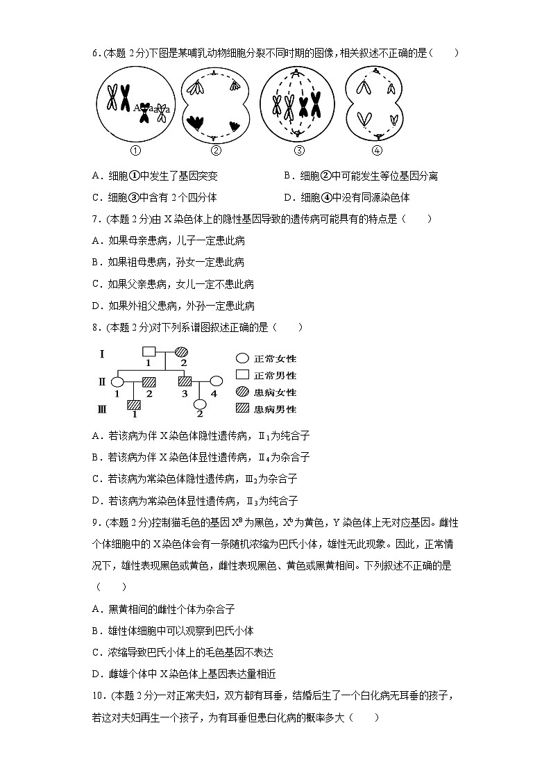 河南省濮阳县实验高中2021-2022学年高二上学期期中考试生物【试卷+答案】02