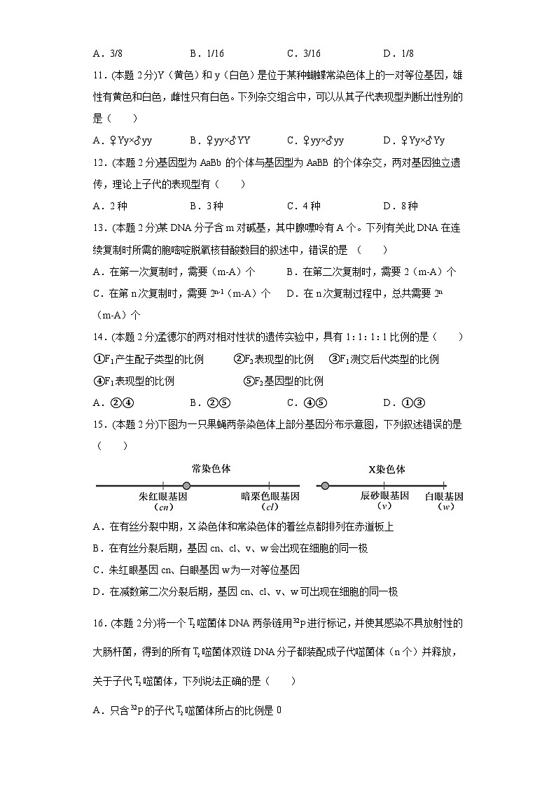 河南省濮阳县实验高中2021-2022学年高二上学期期中考试生物【试卷+答案】03